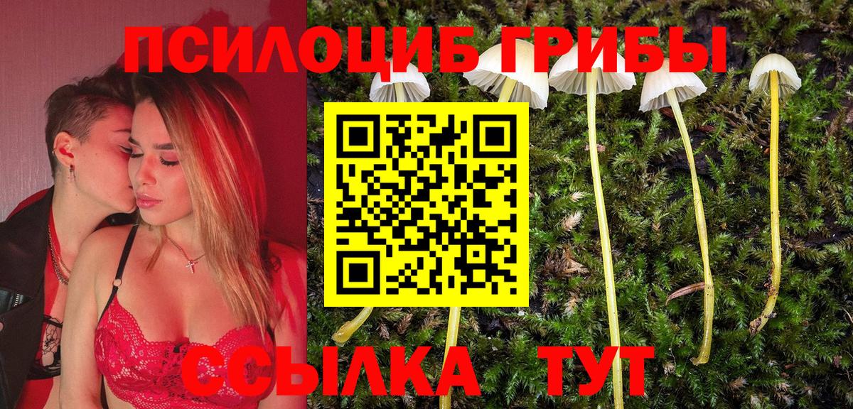 Галлюциногенные грибы MAGIC MUSHROOMS Камышин