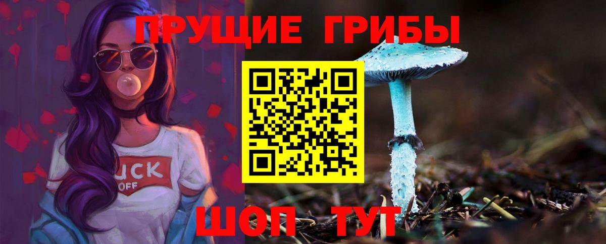 Галлюциногенные грибы MAGIC MUSHROOMS  Вход с VPN  Псилоцибиновые грибы Magic Shrooms  Камышин 